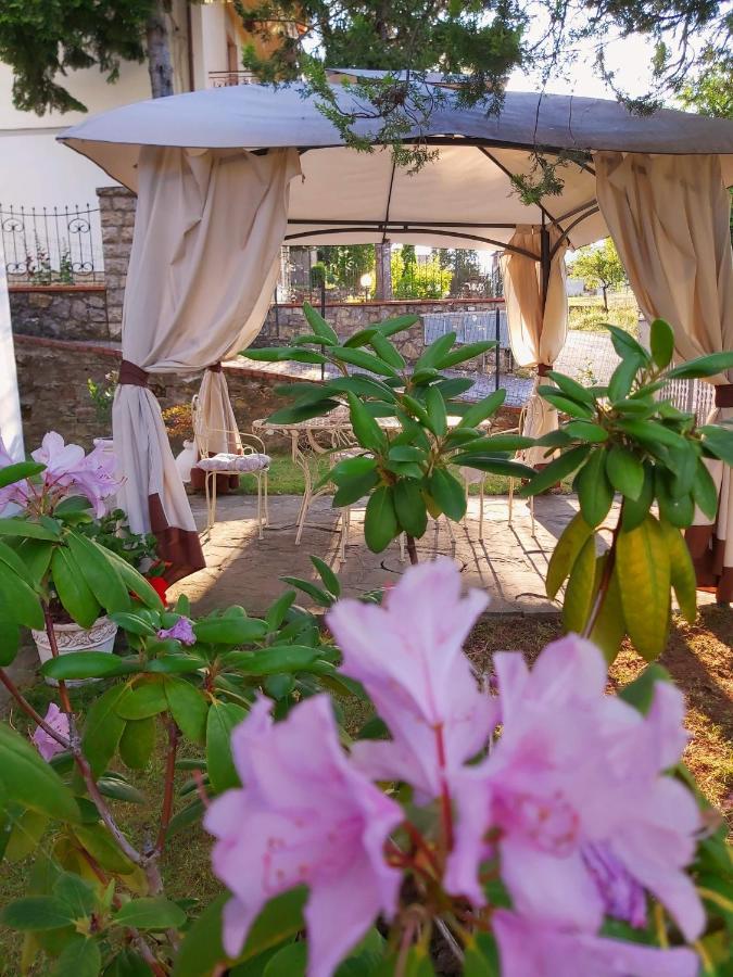 Villa Elvira Ambra Eksteriør bilde