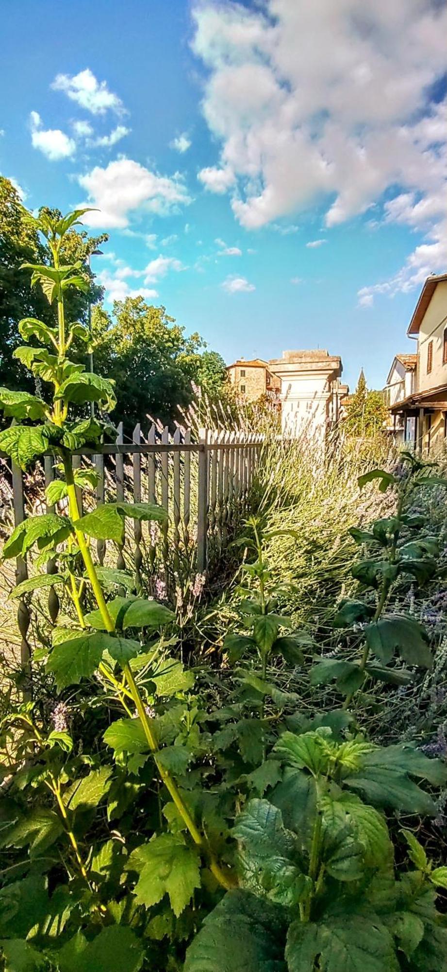 Villa Elvira Ambra Eksteriør bilde